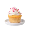 Vanilla cupcake
